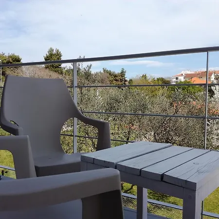 招待所 德拉季奇旅馆